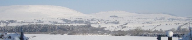 cropped-cropped-hills1.jpg
