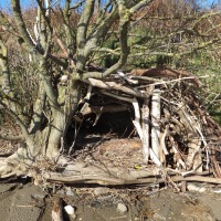 Building 17: beach hut